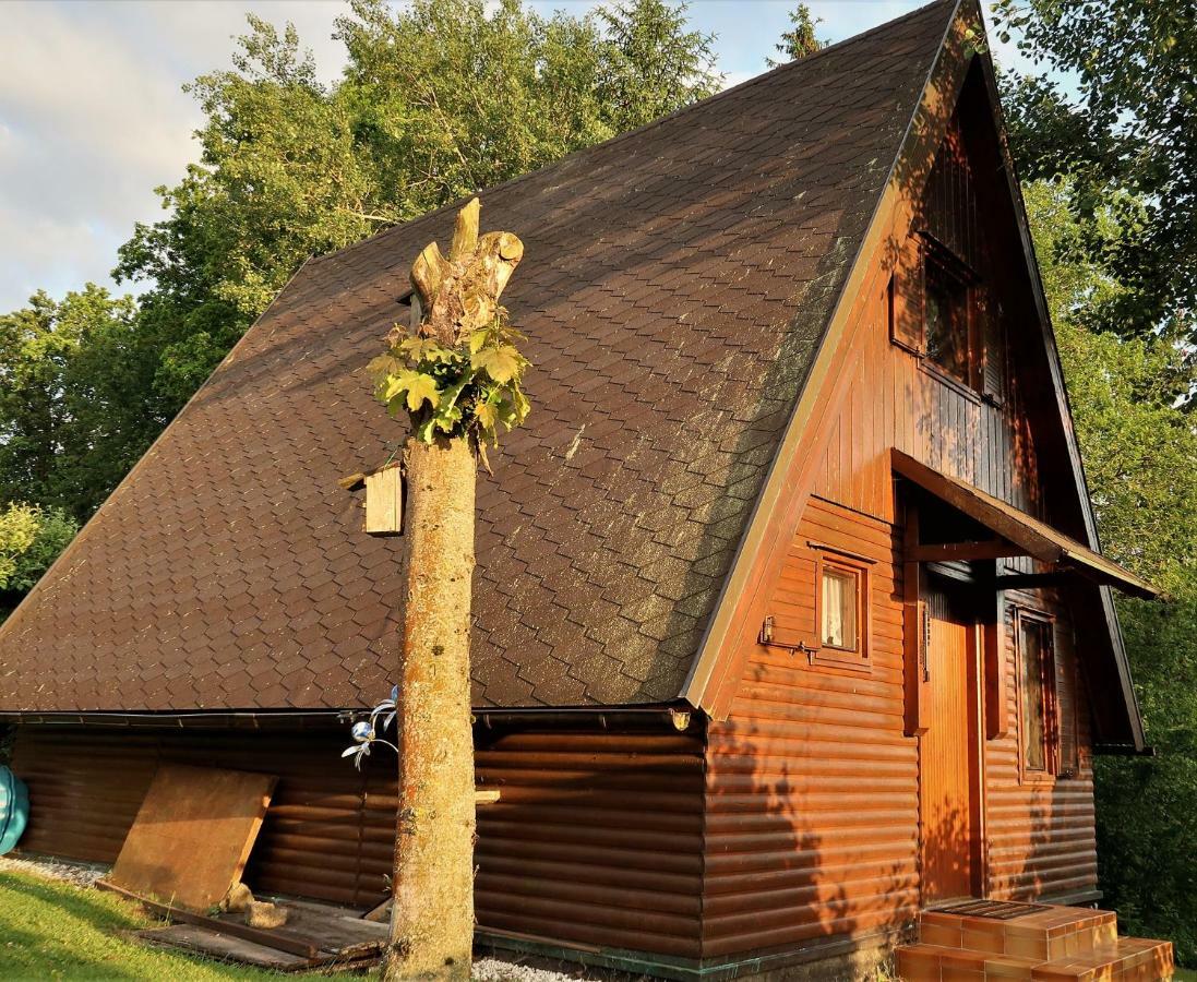 Ferienhaus Ederer Waldmünchen Extérieur photo